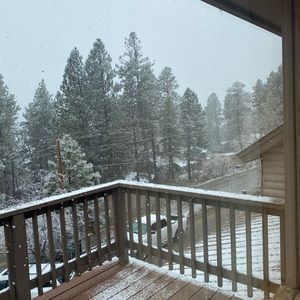 Meet your Posher, Yasmin